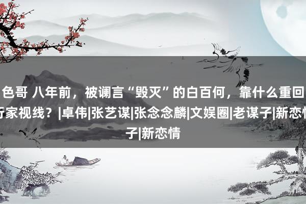 色哥 八年前，被谰言“毁灭”的白百何，靠什么重回行家视线？|卓伟|张艺谋|张念念麟|文娱圈|老谋子|新恋情