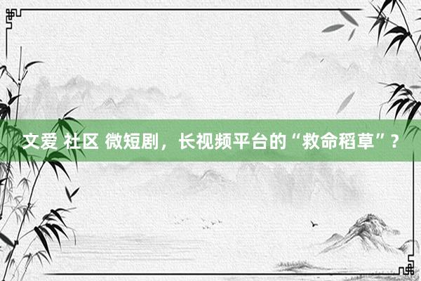 文爱 社区 微短剧，长视频平台的“救命稻草”？