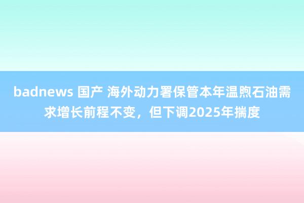 badnews 国产 海外动力署保管本年温煦石油需求增长前程不变，但下调2025年揣度