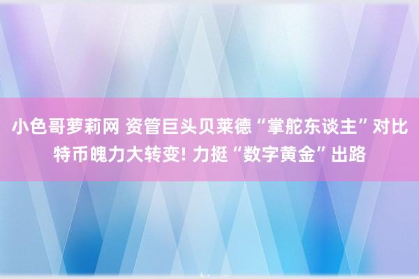 小色哥萝莉网 资管巨头贝莱德“掌舵东谈主”对比特币魄力大转变! 力挺“数字黄金”出路
