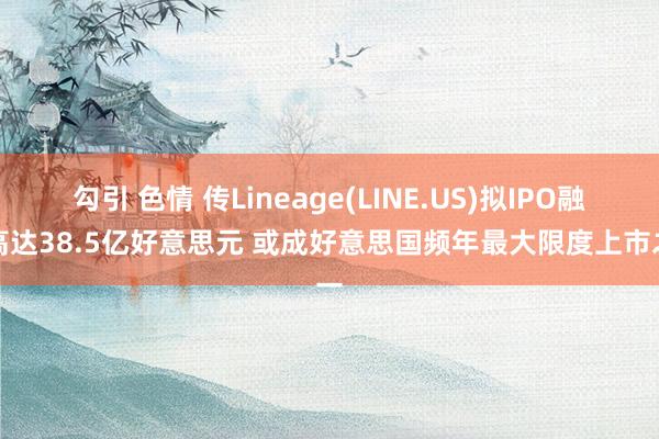 勾引 色情 传Lineage(LINE.US)拟IPO融资高达38.5亿好意思元 或成好意思国频年最大限度上市之一