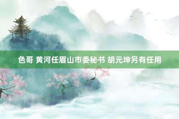 色哥 黄河任眉山市委秘书 胡元坤另有任用