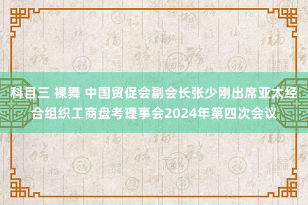 科目三 裸舞 中国贸促会副会长张少刚出席亚太经合组织工商盘考理事会2024年第四次会议