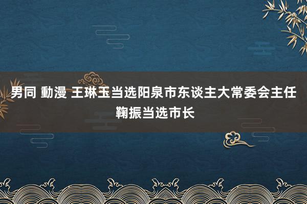 男同 動漫 王琳玉当选阳泉市东谈主大常委会主任 鞠振当选市长