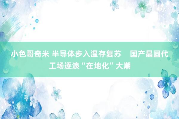 小色哥奇米 半导体步入温存复苏    国产晶圆代工场逐浪“在地化”大潮